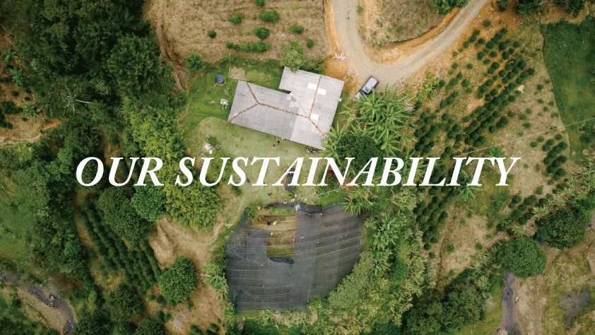 サステナブルな取り組み~VERVEが目指す未来の創造~