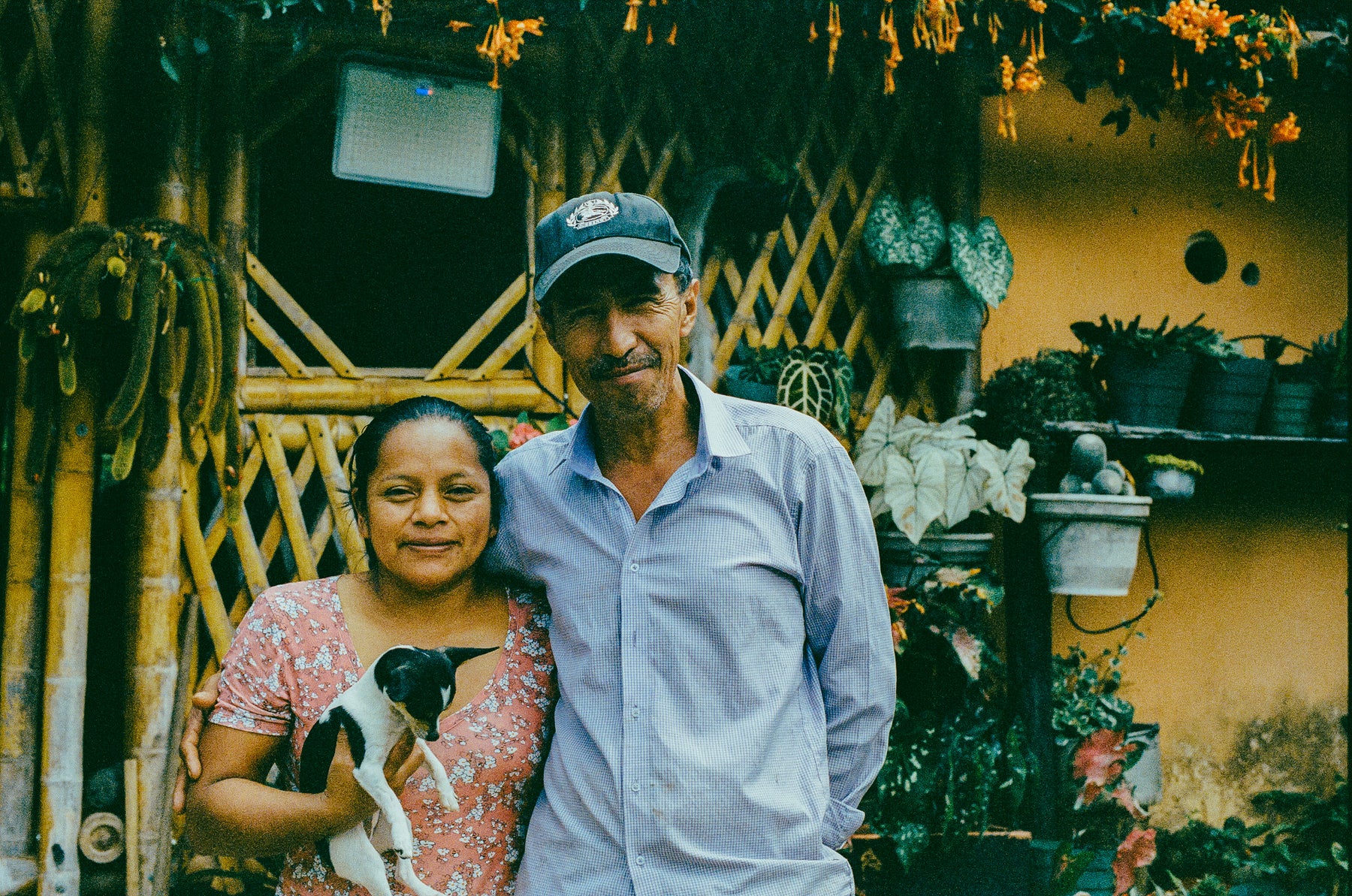 JOSE GUZMAN