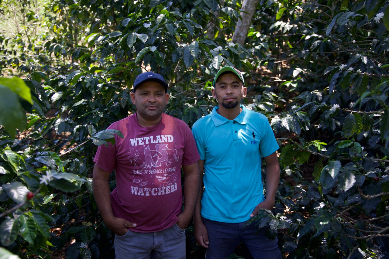 HERMANOS PINEDA