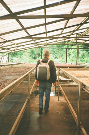 ELIDA GESHA NATURAL ANAEROBIC