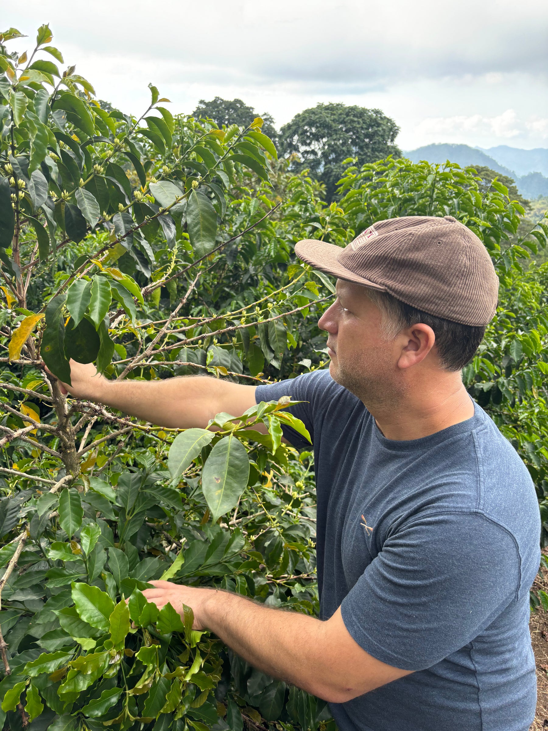 ARTURO PAZ PACAMARA PACAS